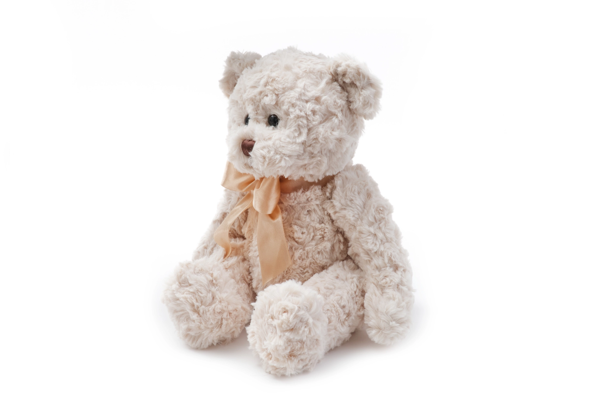 BEAR + COTTON SWEATER set