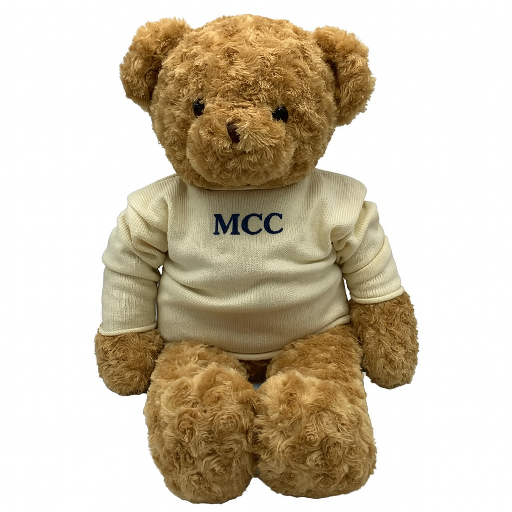 BEAR + COTTON SWEATER set